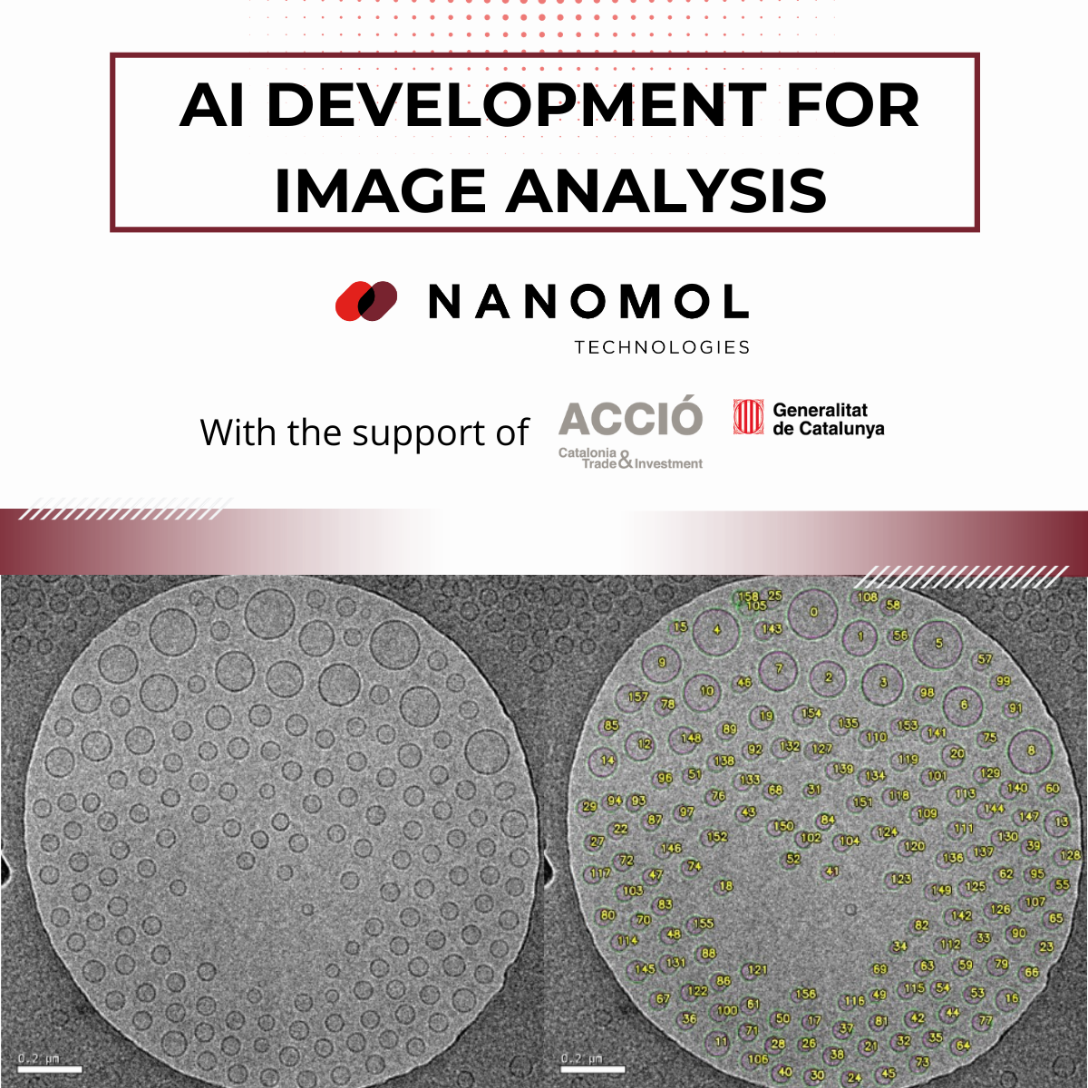 NANOMOL TECHNOLOGIES GETS DEEPER IN THE DEVELOPMENT OF ARTIFICIAL INTELLIGENCE TOOLS FOR THE IMAGE ANALYSIS FROM ELECTRONIC MICROSCOPE IMAGES.
